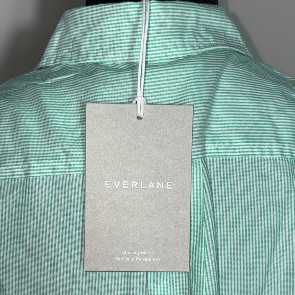 Everlane Relaxed Oxford shirt Green color with pinstripes patterns - Picture 6 of 9